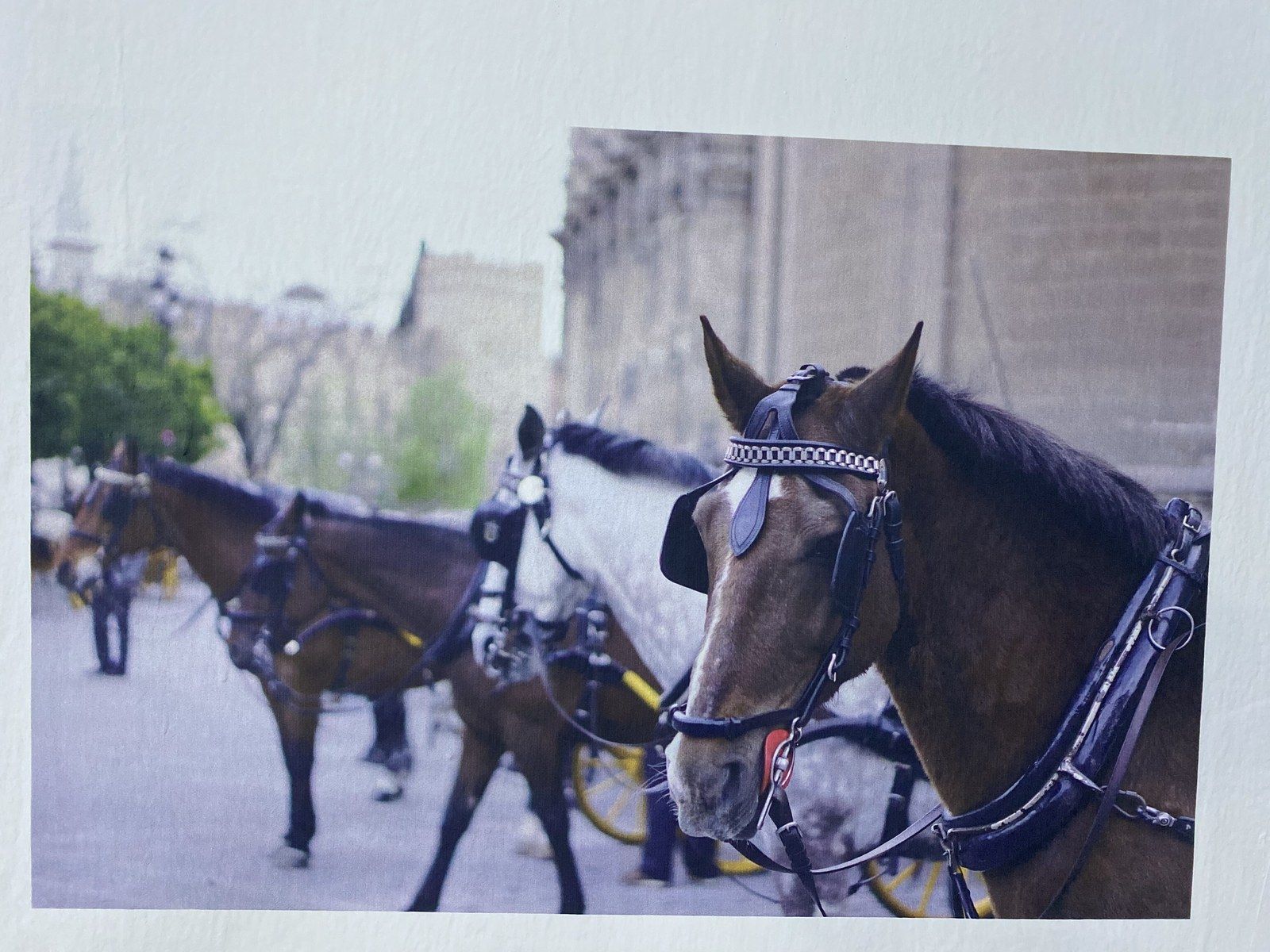 Close-up of a photographic print made with UV ink directly on a white painted wall